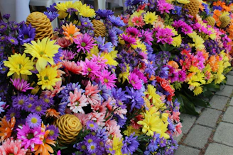 Colorful forest flowers and pine cones collected from Peer Gali surroundings.