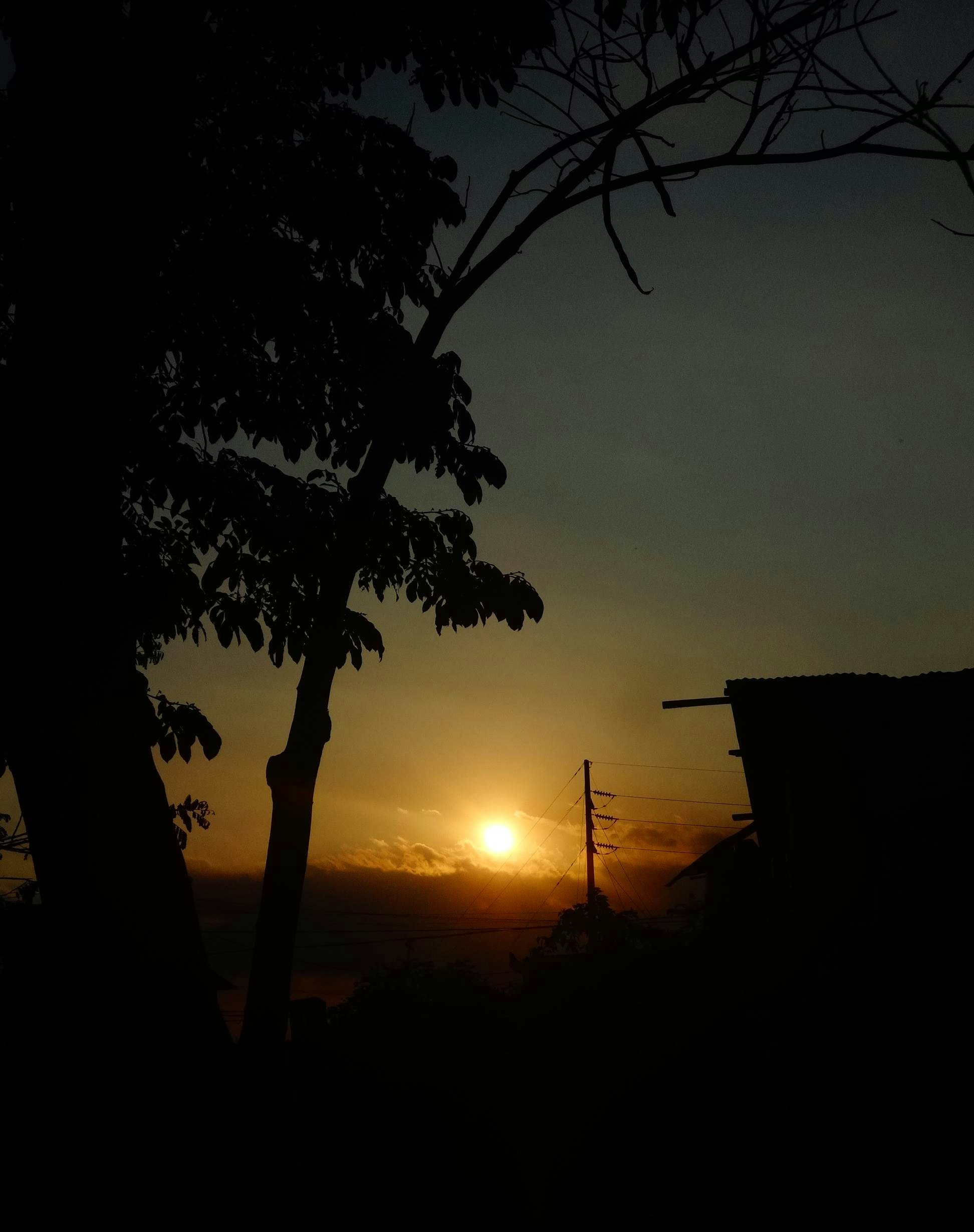 Free Unsplash photo from Emely  Veliz