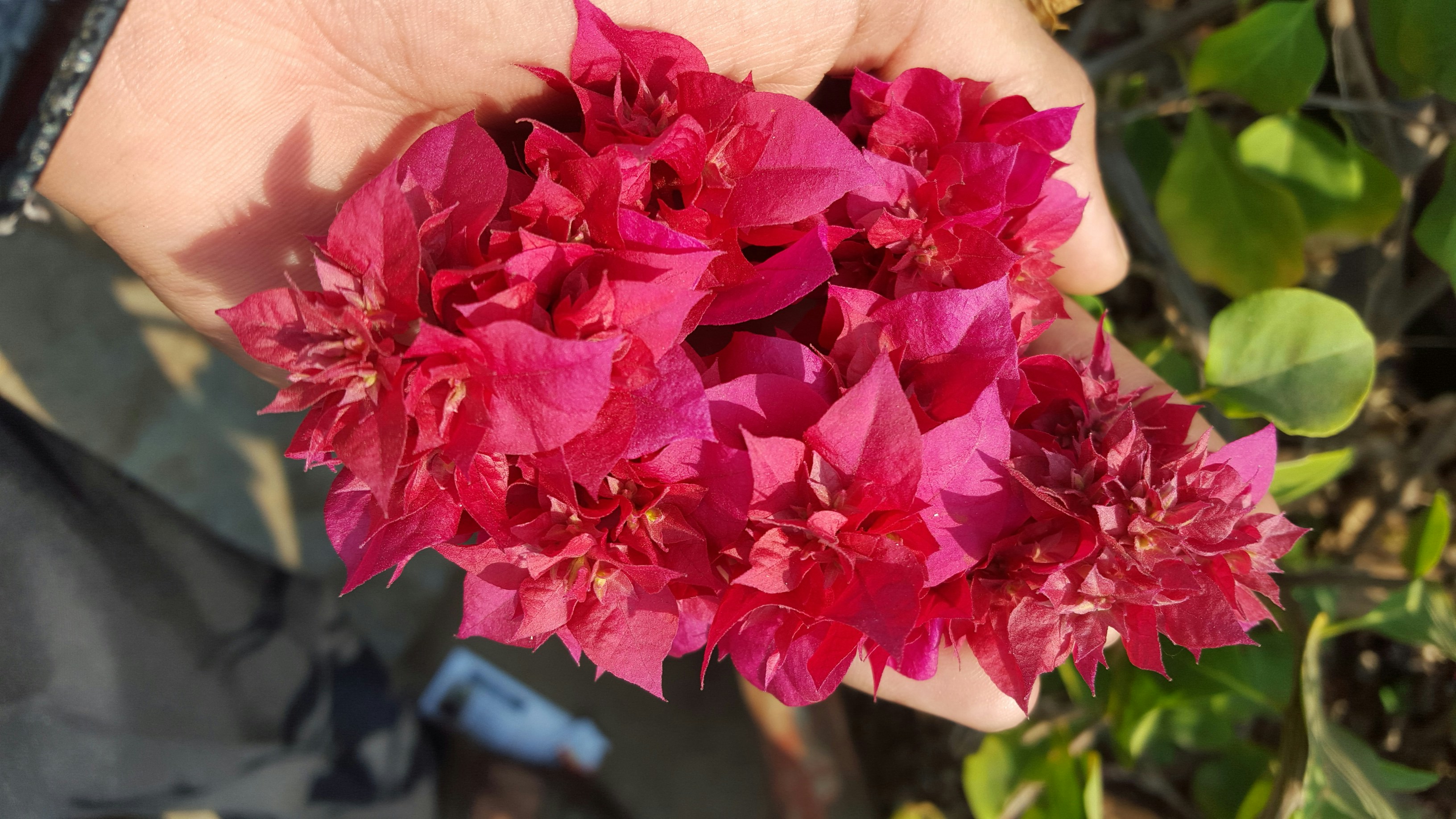 Free Unsplash photo from Dinesh Choudhary