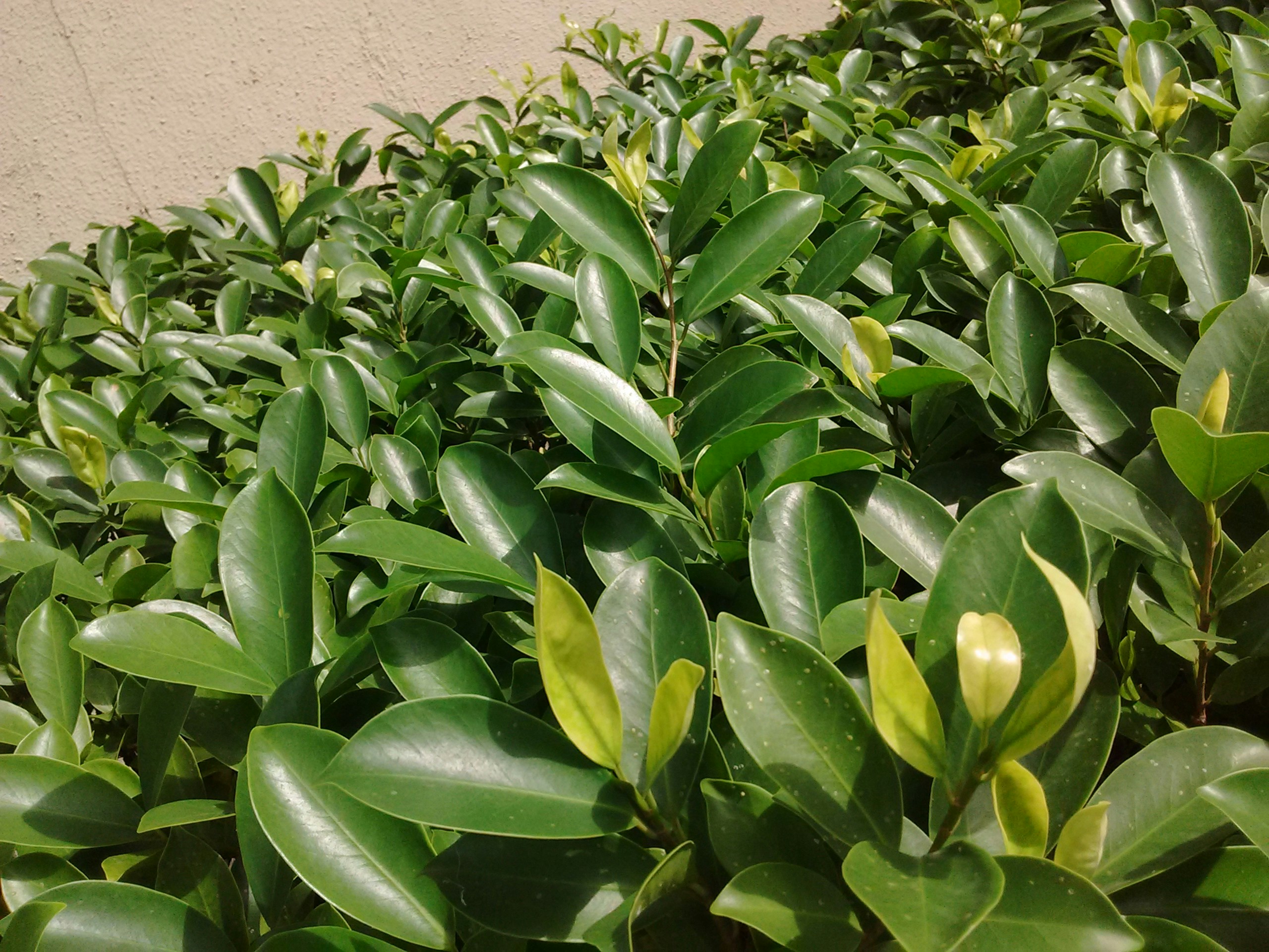 Free Unsplash photo from Dinesh Choudhary