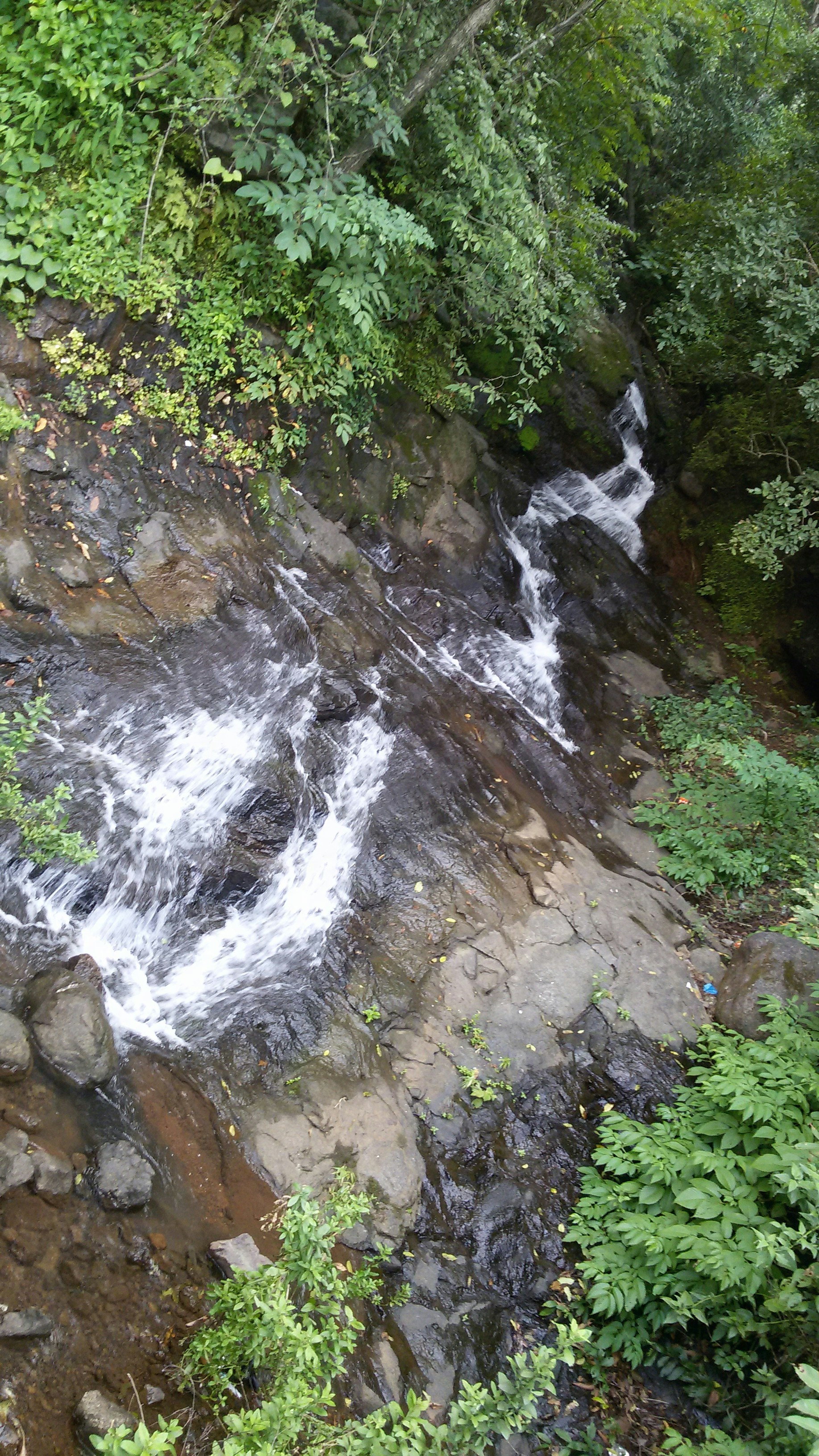 Free Unsplash photo from Dinesh Choudhary