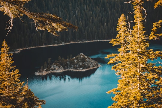 bird's eye view of island near tall trees in Lake Tahoe United States