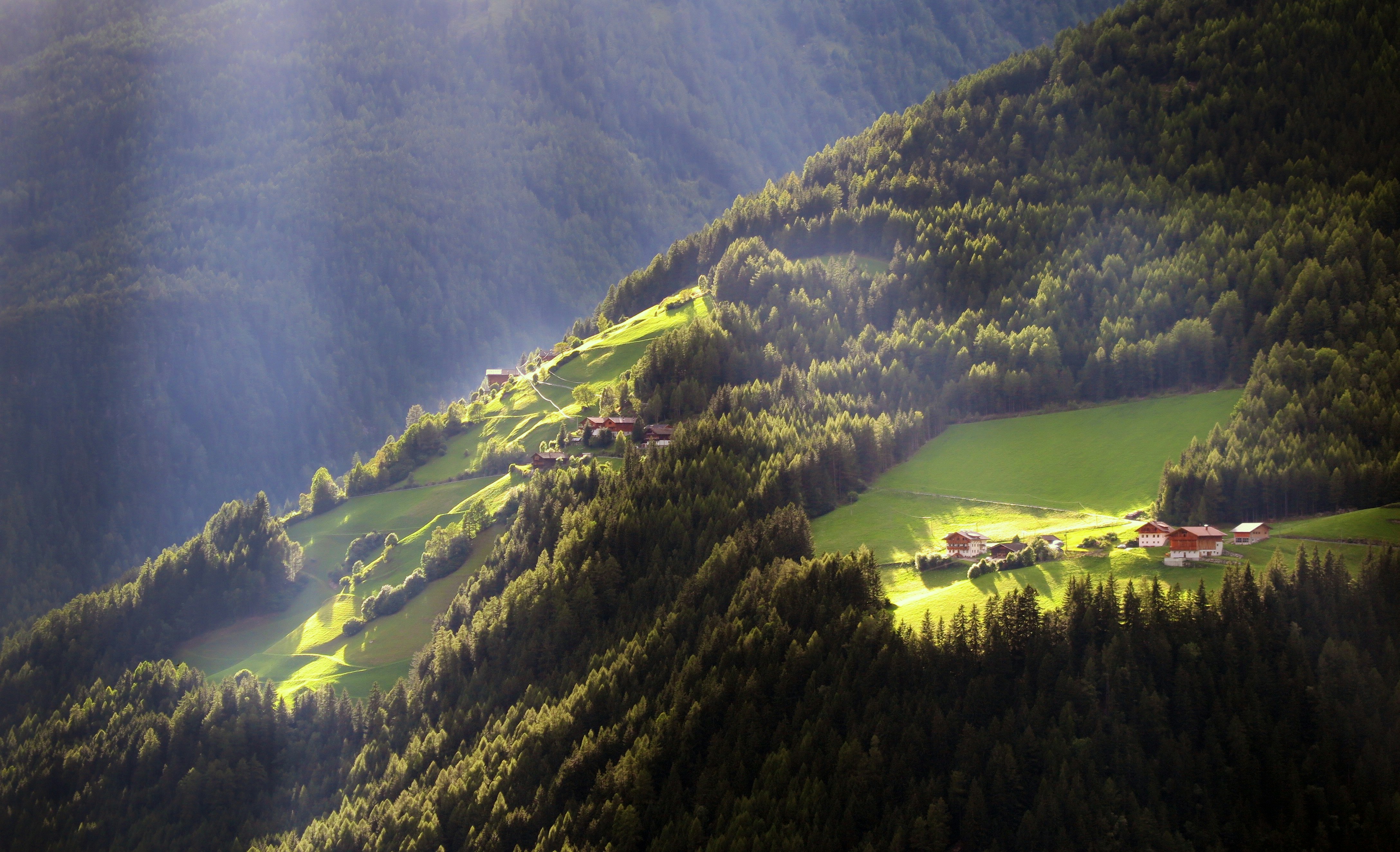 Free Unsplash photo from marco forno