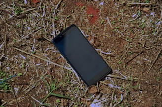 A smartphone lies face up on dry, patchy ground with scattered small green plants and twigs. The phone's screen is dark and reflective under natural lighting.