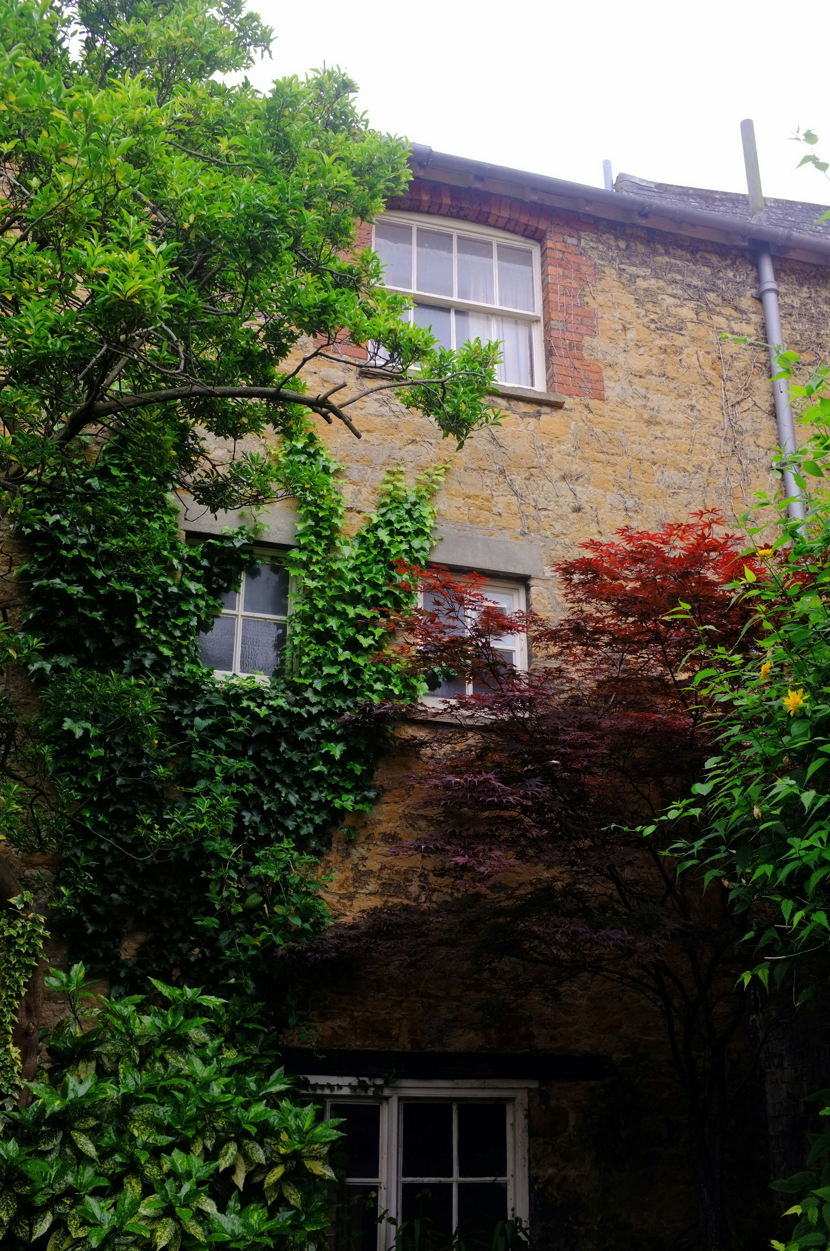 Free Unsplash photo from Joe C.