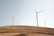 Wind turbines stand on a gently rolling, dry landscape under a clear sky. The turbines are evenly spaced across the field, casting long shadows on the light brown earth. The scene conveys a sense of open space and sustainable energy production.