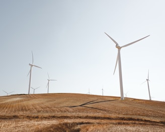 white electric windmills during daytime