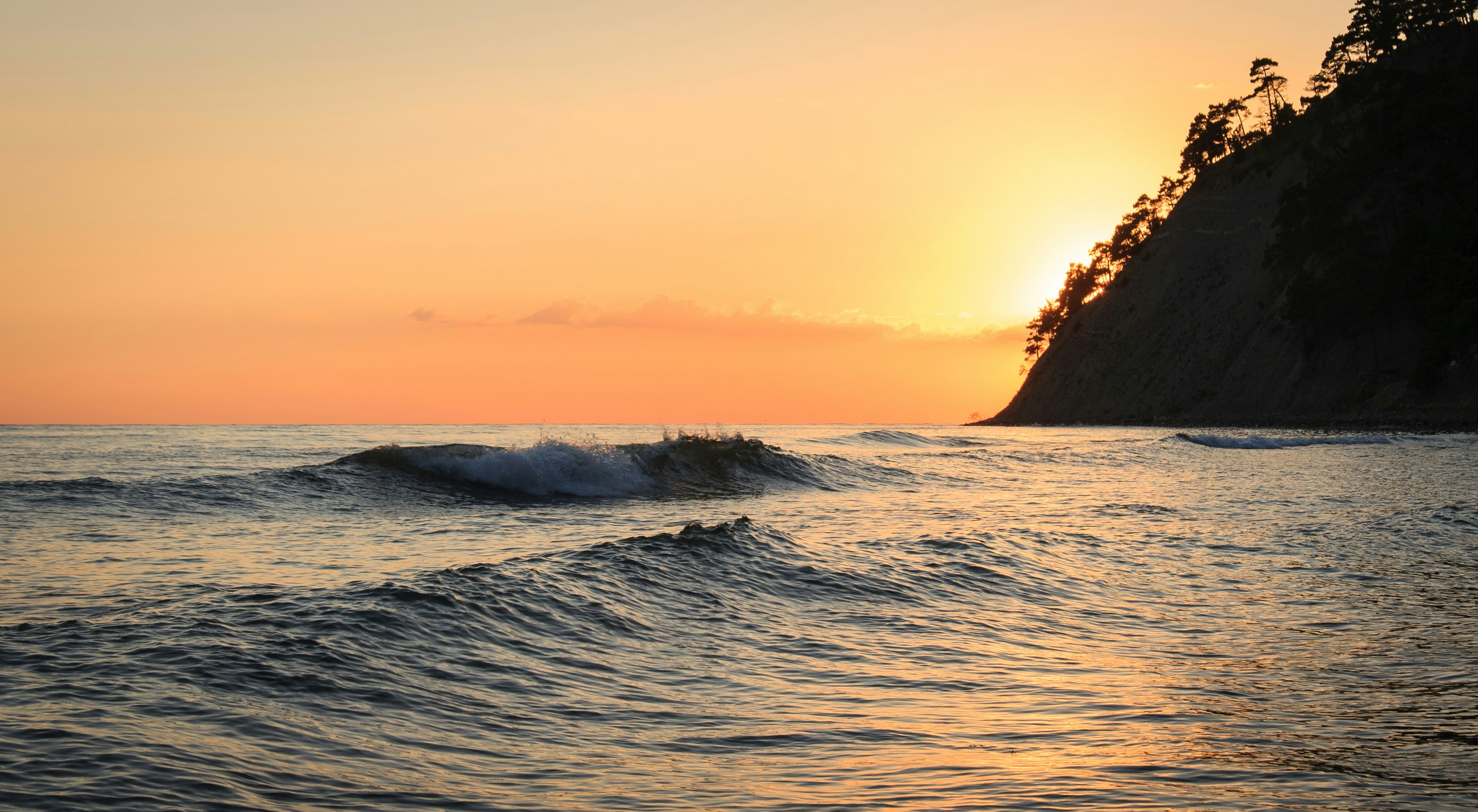 Free Unsplash photo from Alexander Savonin