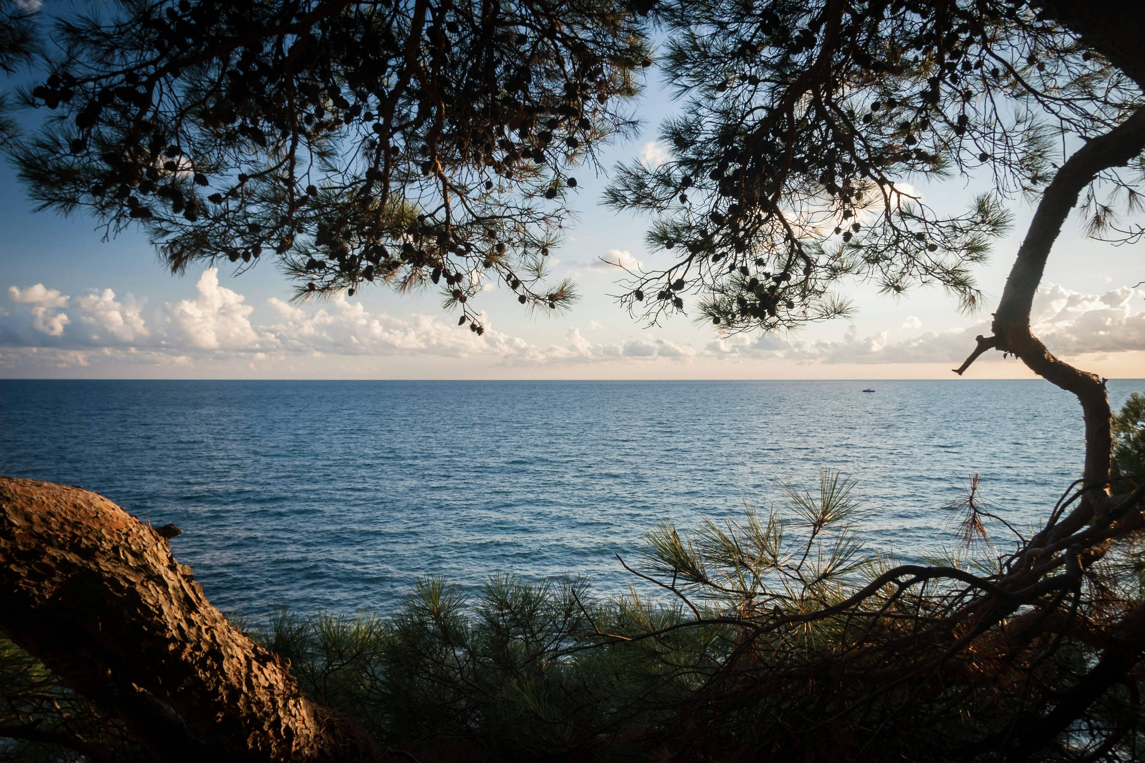 Free Unsplash photo from Alexander Savonin