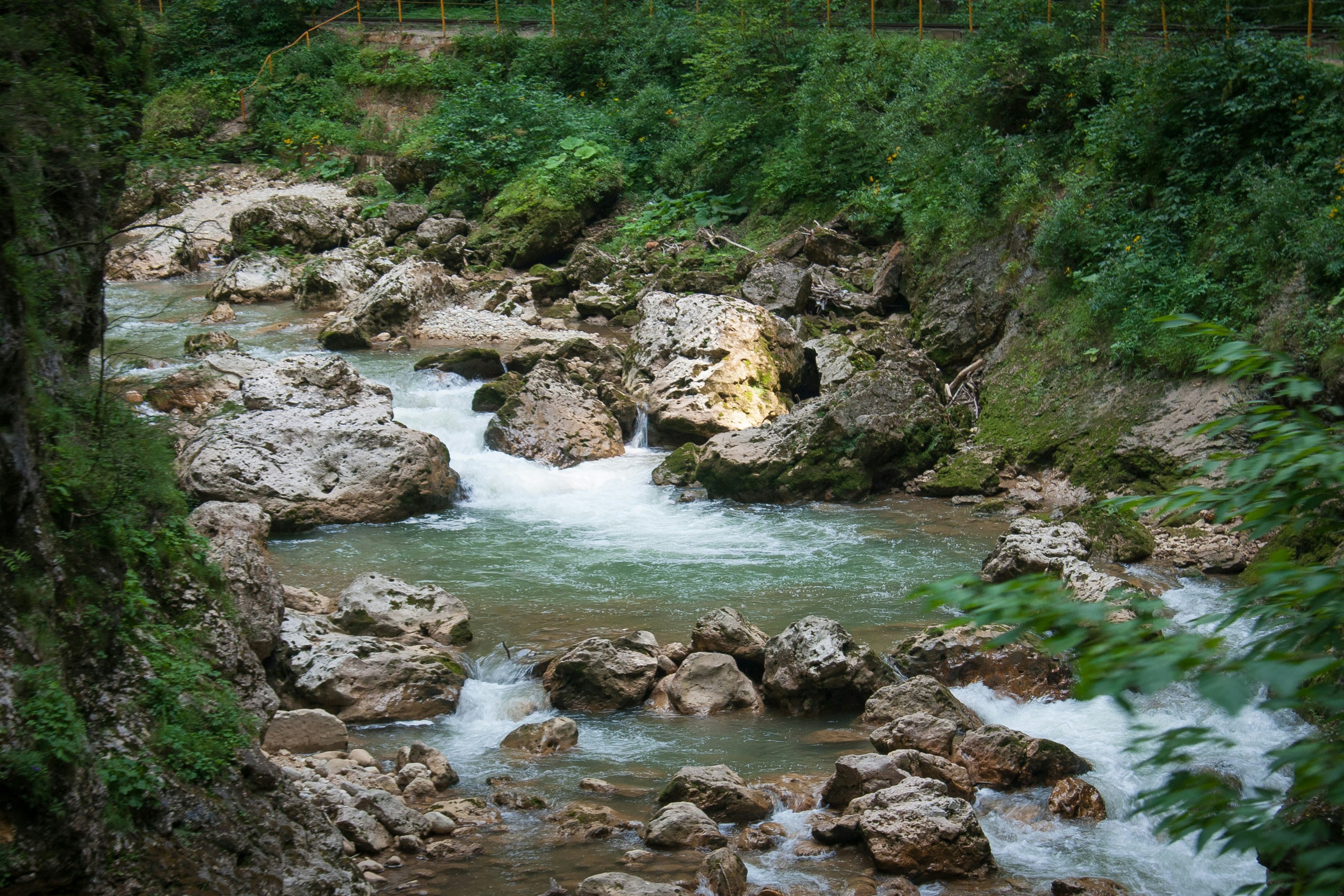 Free Unsplash photo from Alexander Savonin