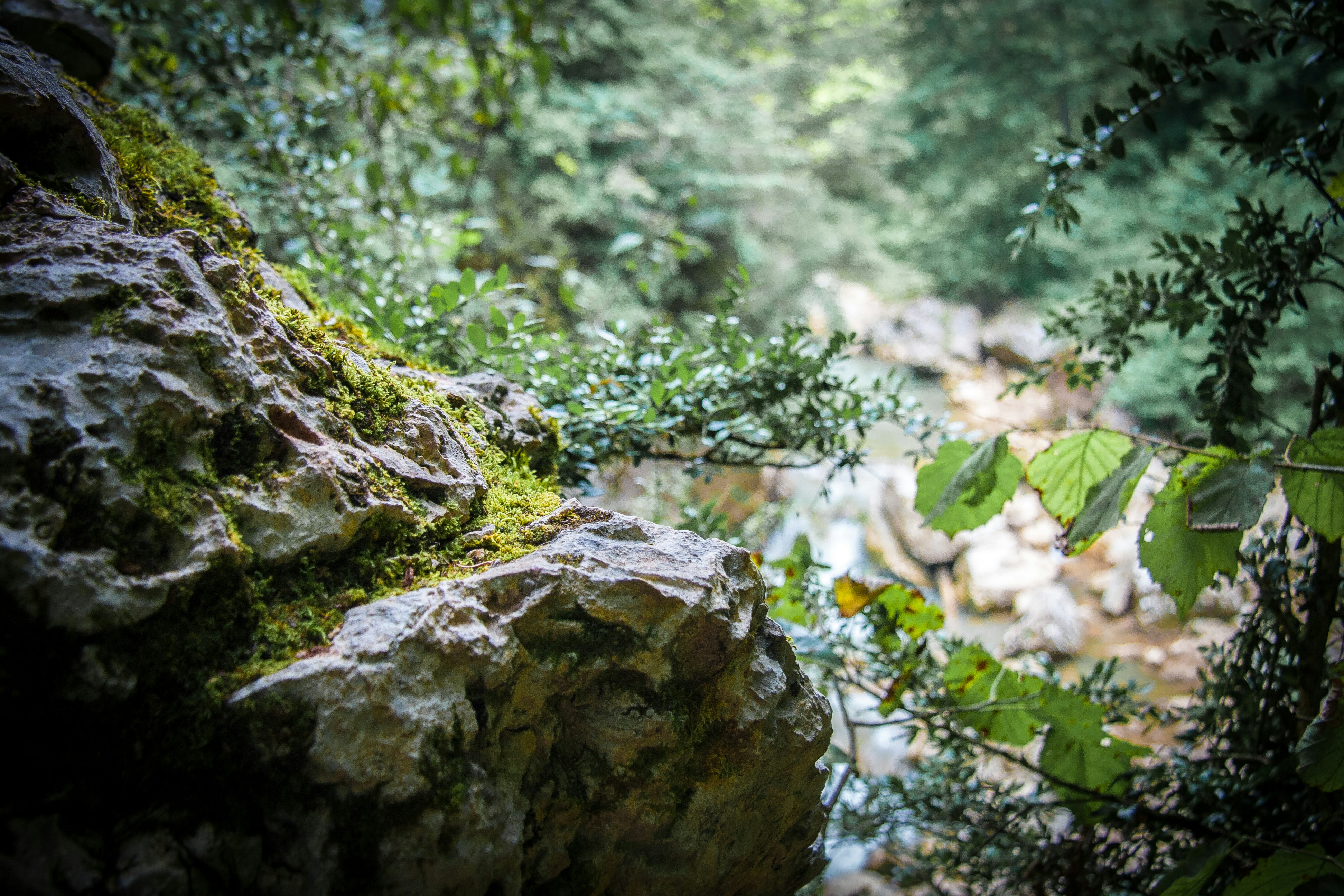 Free Unsplash photo from Alexander Savonin