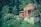 A cozy cabin surrounded by trees at Quinta El Gran Chaparral.