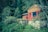 A rustic wooden cabin is situated amidst dense greenery, with a stone foundation and bright red-framed windows. The cabin is surrounded by lush trees and foliage, creating a serene and secluded atmosphere.