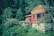 A rustic wooden cabin is situated amidst dense greenery, with a stone foundation and bright red-framed windows. The cabin is surrounded by lush trees and foliage, creating a serene and secluded atmosphere.