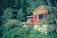 A rustic wooden cabin is situated amidst dense greenery, with a stone foundation and bright red-framed windows. The cabin is surrounded by lush trees and foliage, creating a serene and secluded atmosphere.