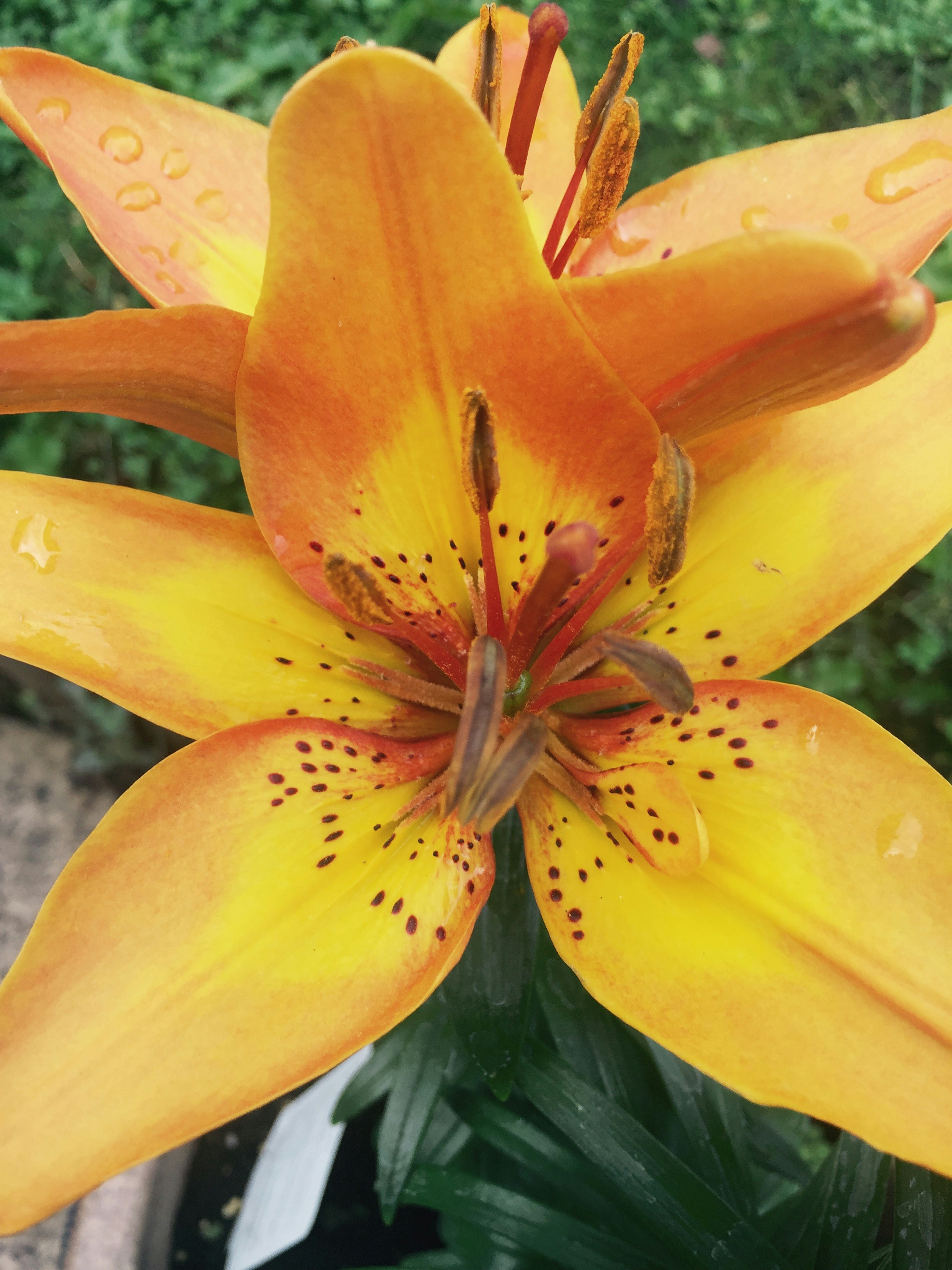 Free Unsplash photo from Hency Parmar-Soni