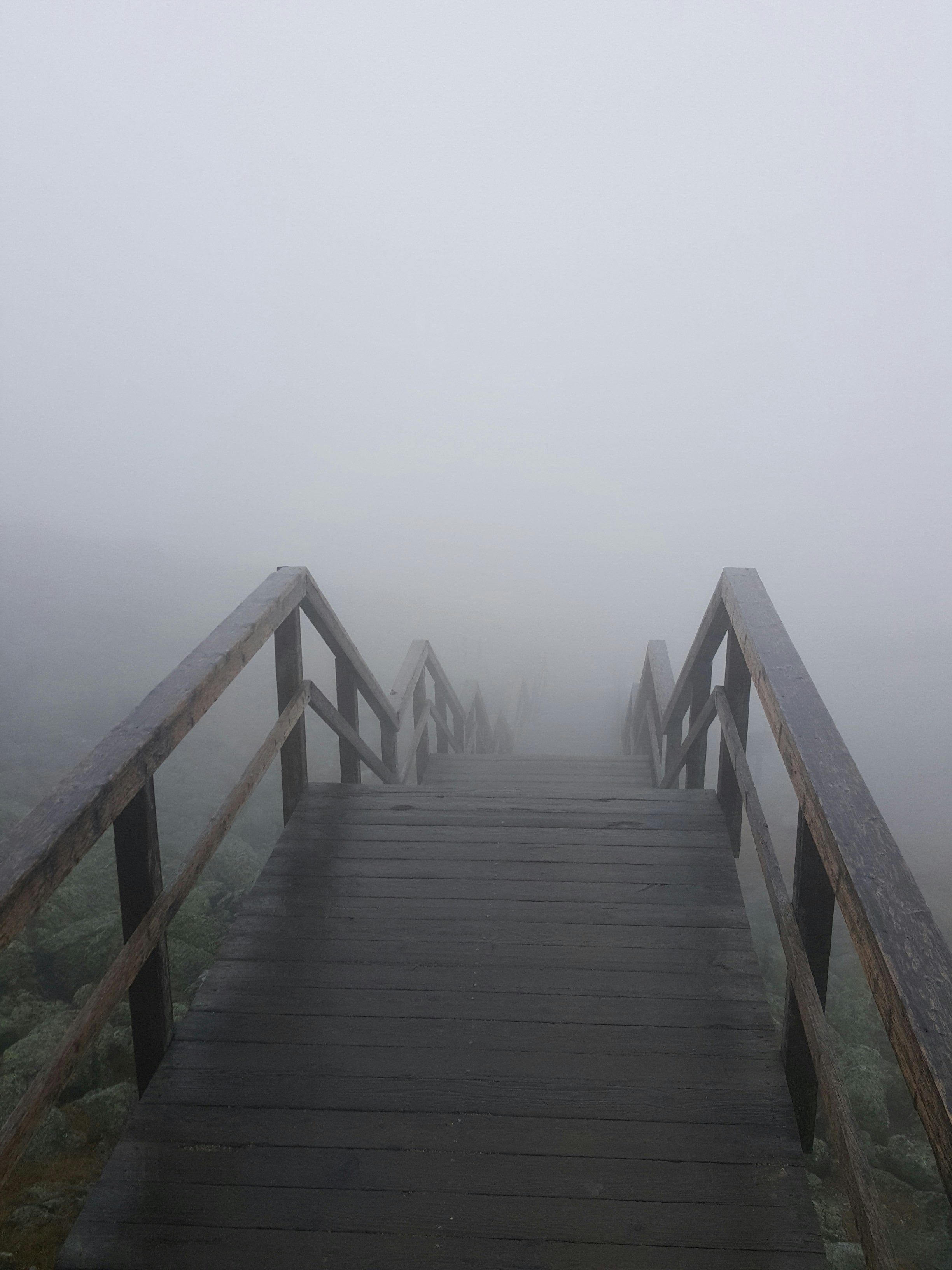 Free Unsplash photo from Aasha Edwards