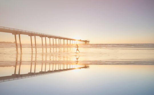 person walking on sea near bridge during daytime in San Diego United States