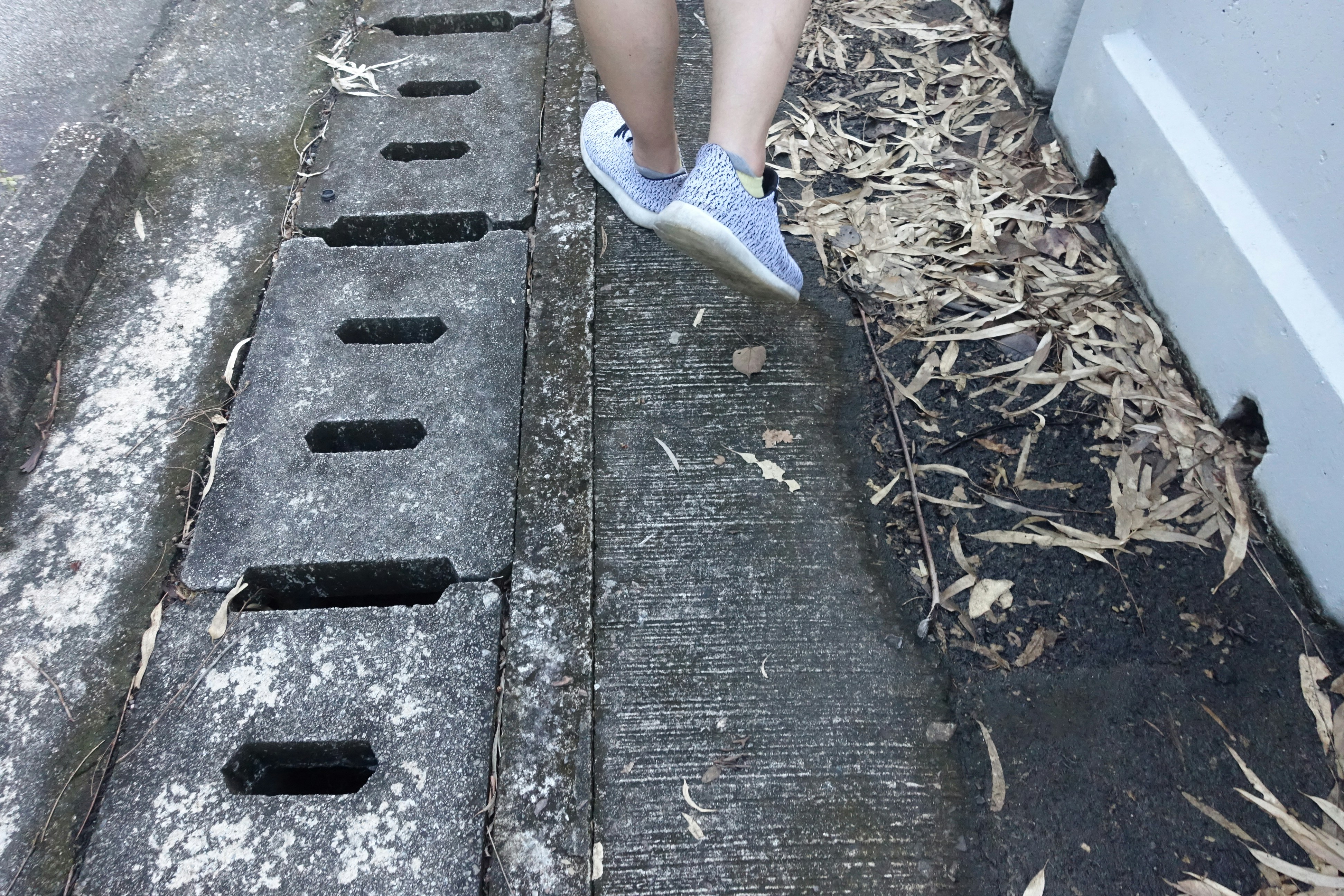 Free Unsplash photo from Jenny Li