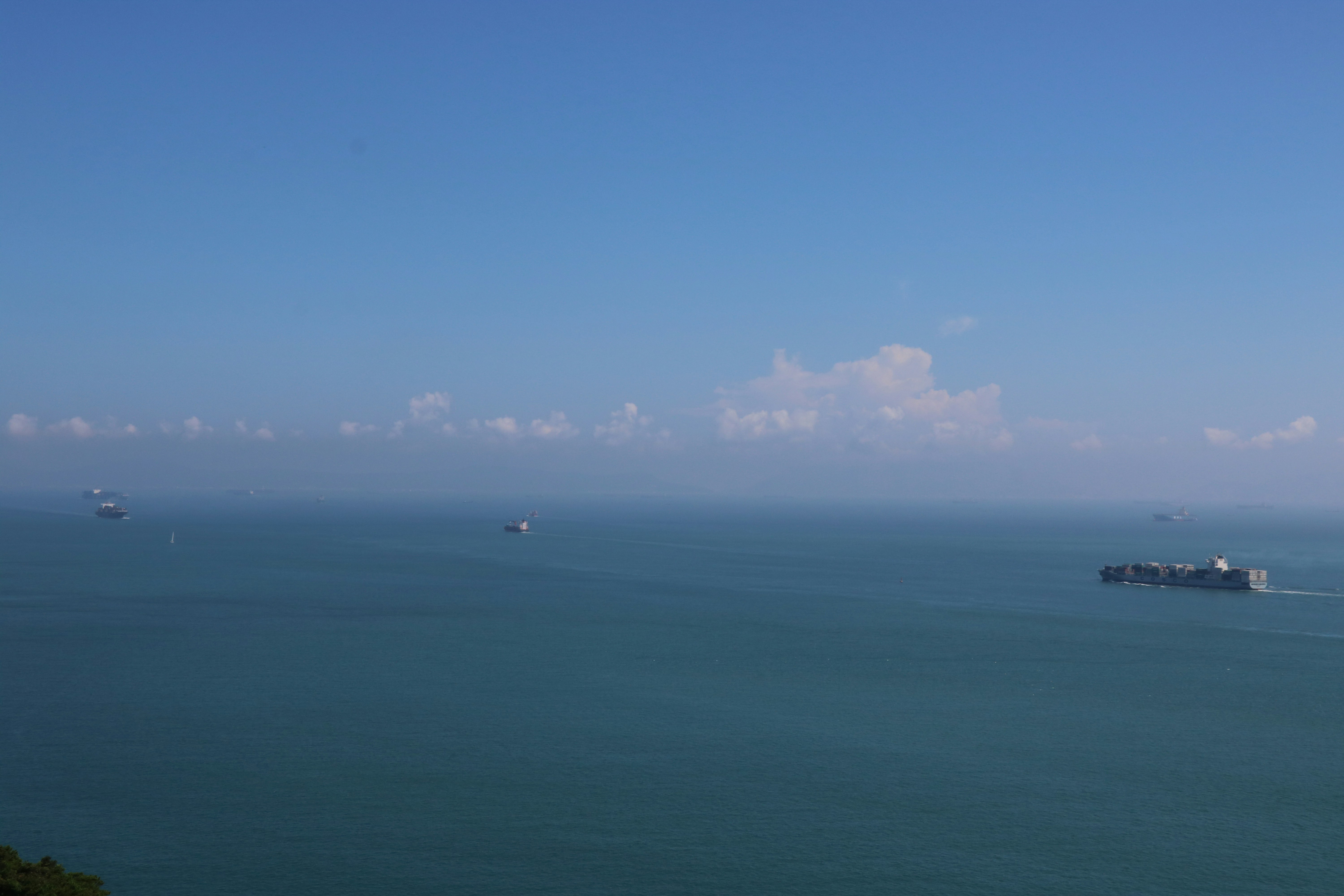 Free Unsplash photo from Jenny Li