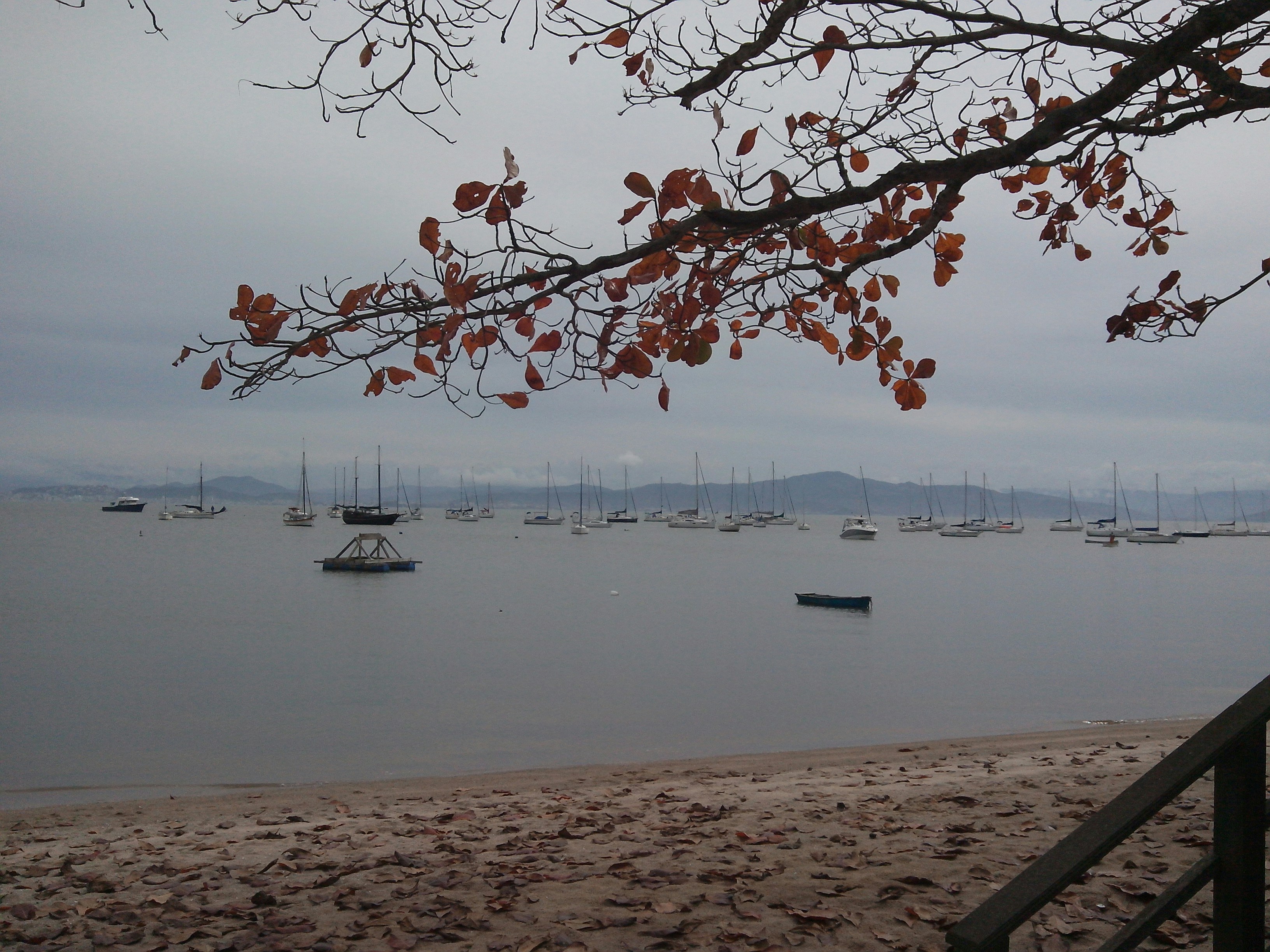 Free Unsplash photo from Gilson Terra