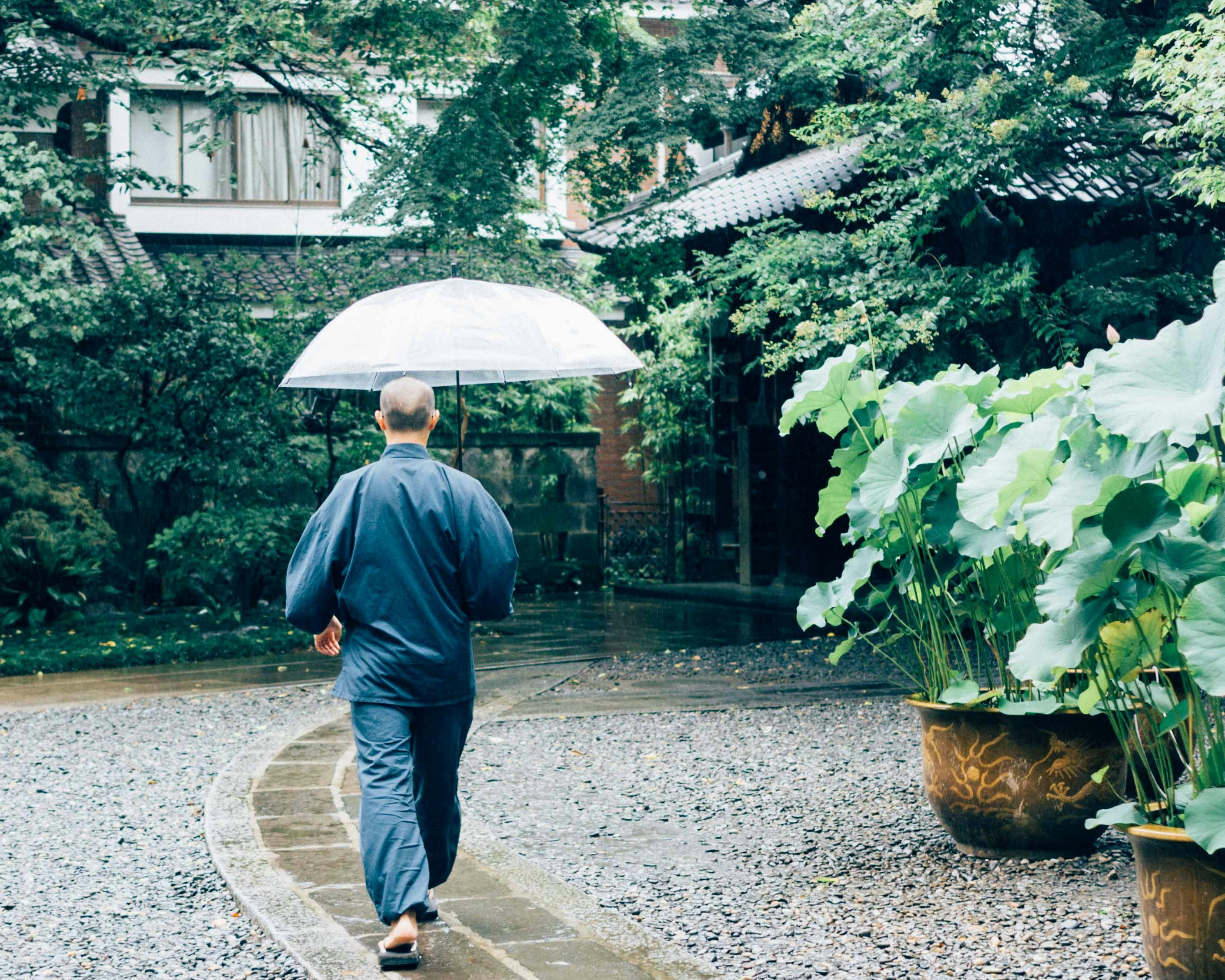 Free Unsplash photo from Lan Pham