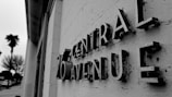 A black and white photograph featuring a close-up view of vintage-style 3D letters mounted on a textured wall, spelling '26 Central Avenue'. The perspective is angled, with focus on the lettering's aged and worn texture. In the background, silhouettes of palm trees and buildings are slightly blurred, contributing to the image's depth.