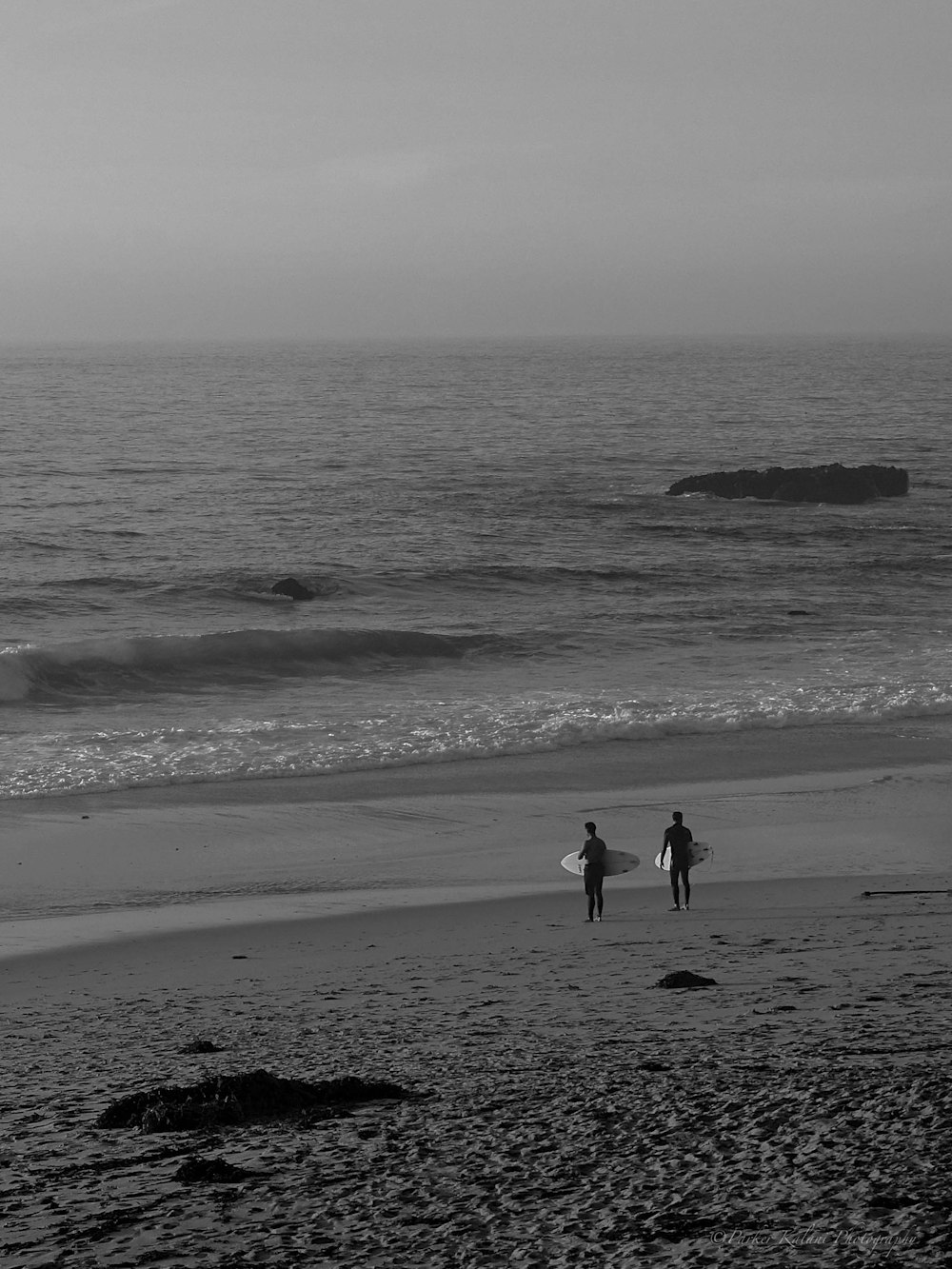 two men holding surf boards near ocean
