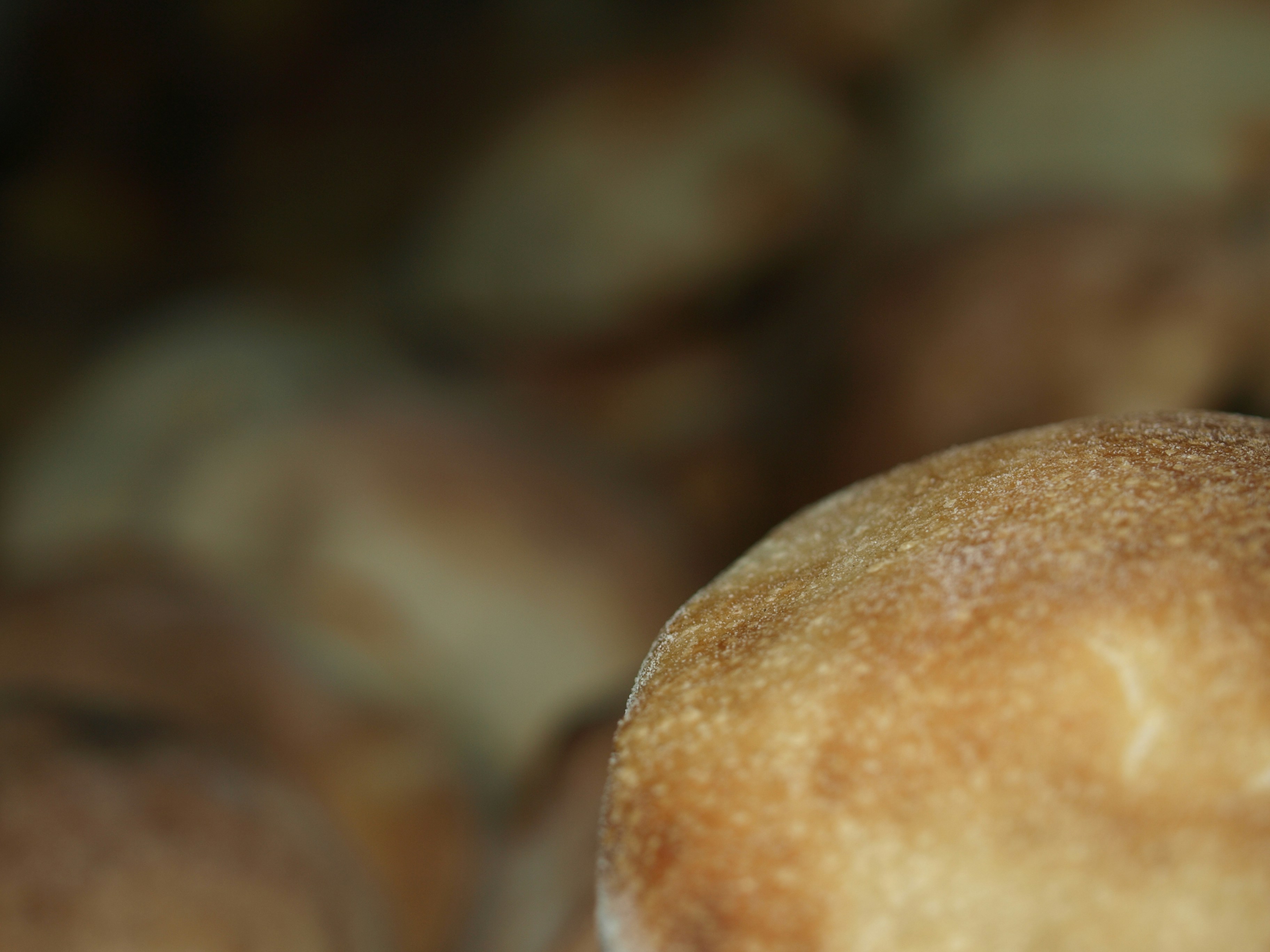 Free Unsplash photo from Fiorella Parodi Solari