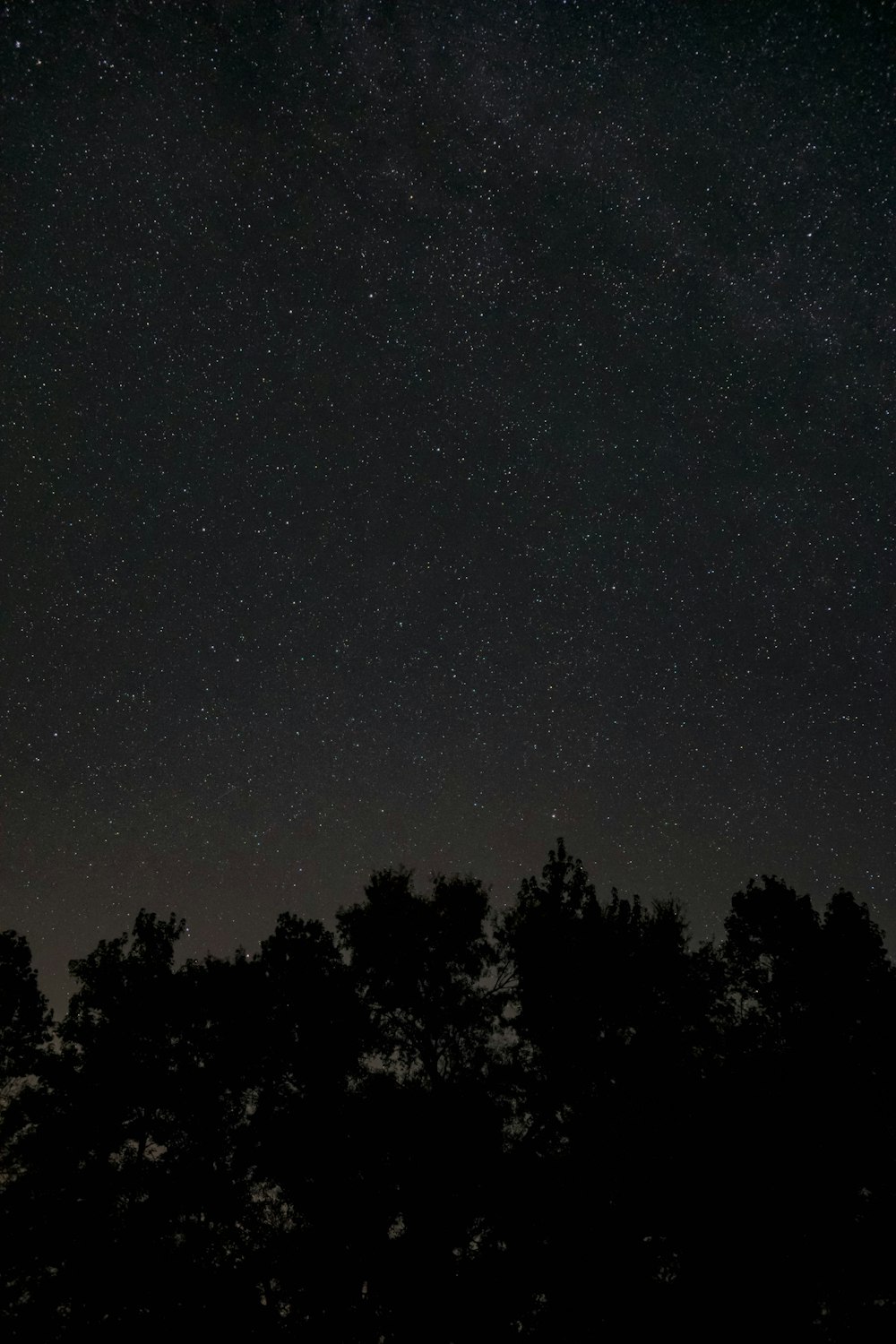 angolo basso della notte stellata