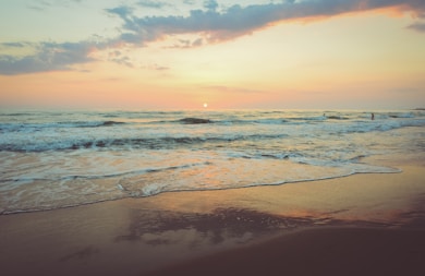 photo of seashore