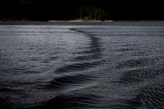 calm body of water near tall trees in Lake McDonald United States