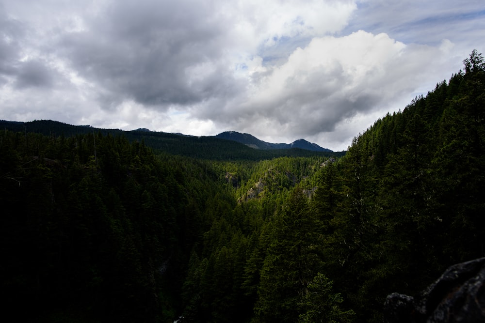 aerial view of mountain