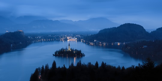 aerial photography of body of water surrounded by trees in Ojstrica Slovenia