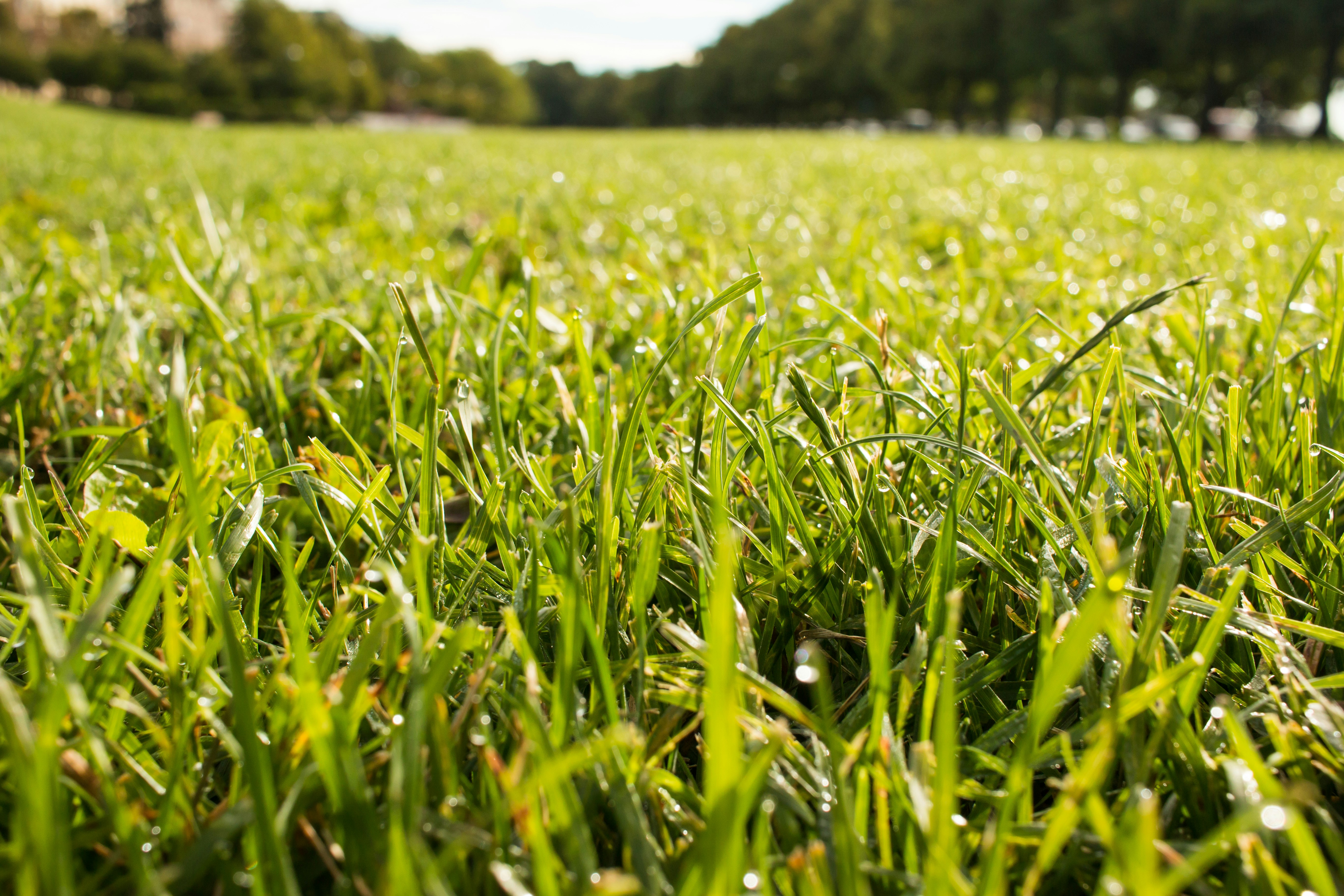 Free Unsplash photo from Juha Lakaniemi