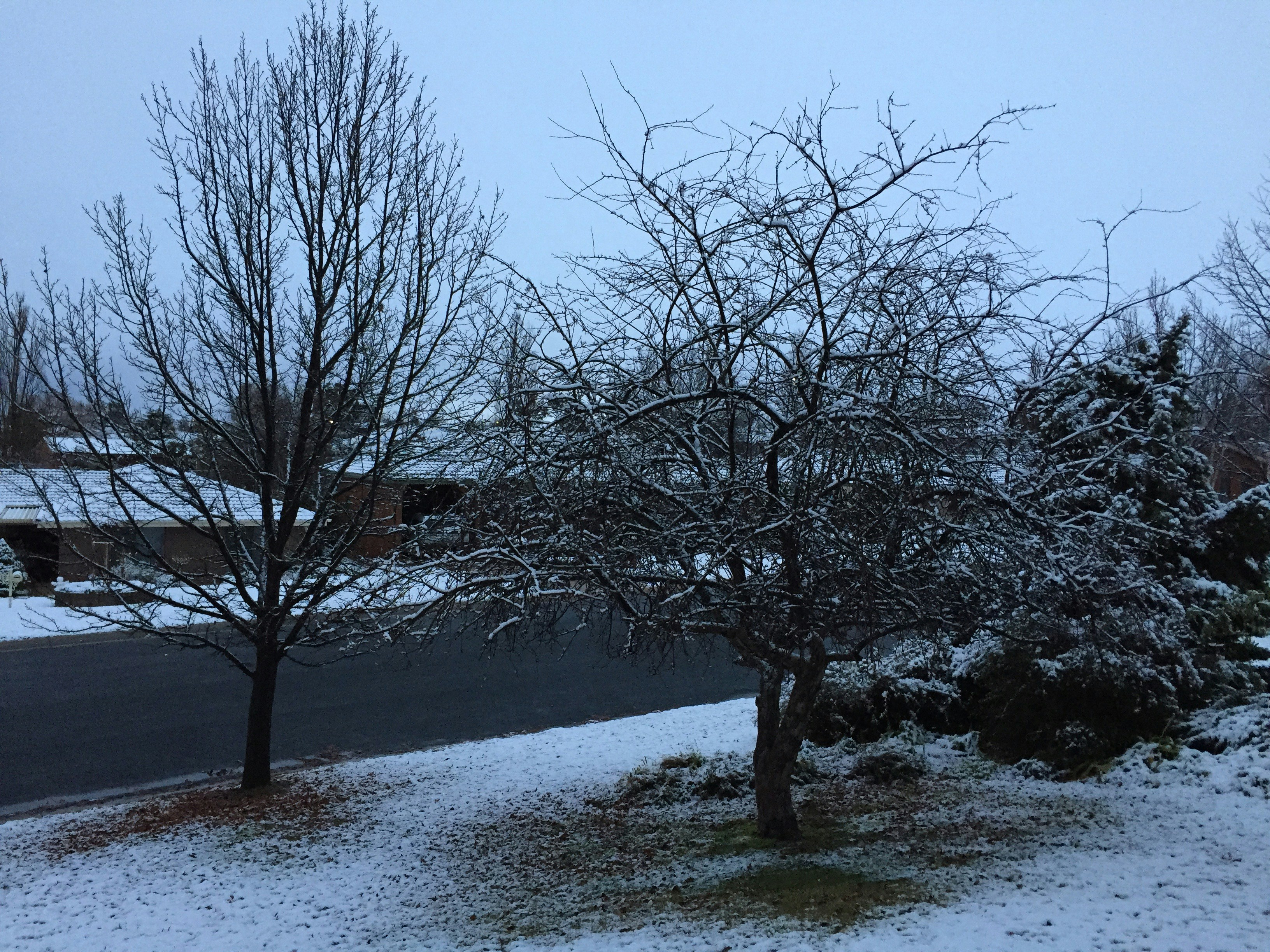 Free Unsplash photo from Tony ONeill