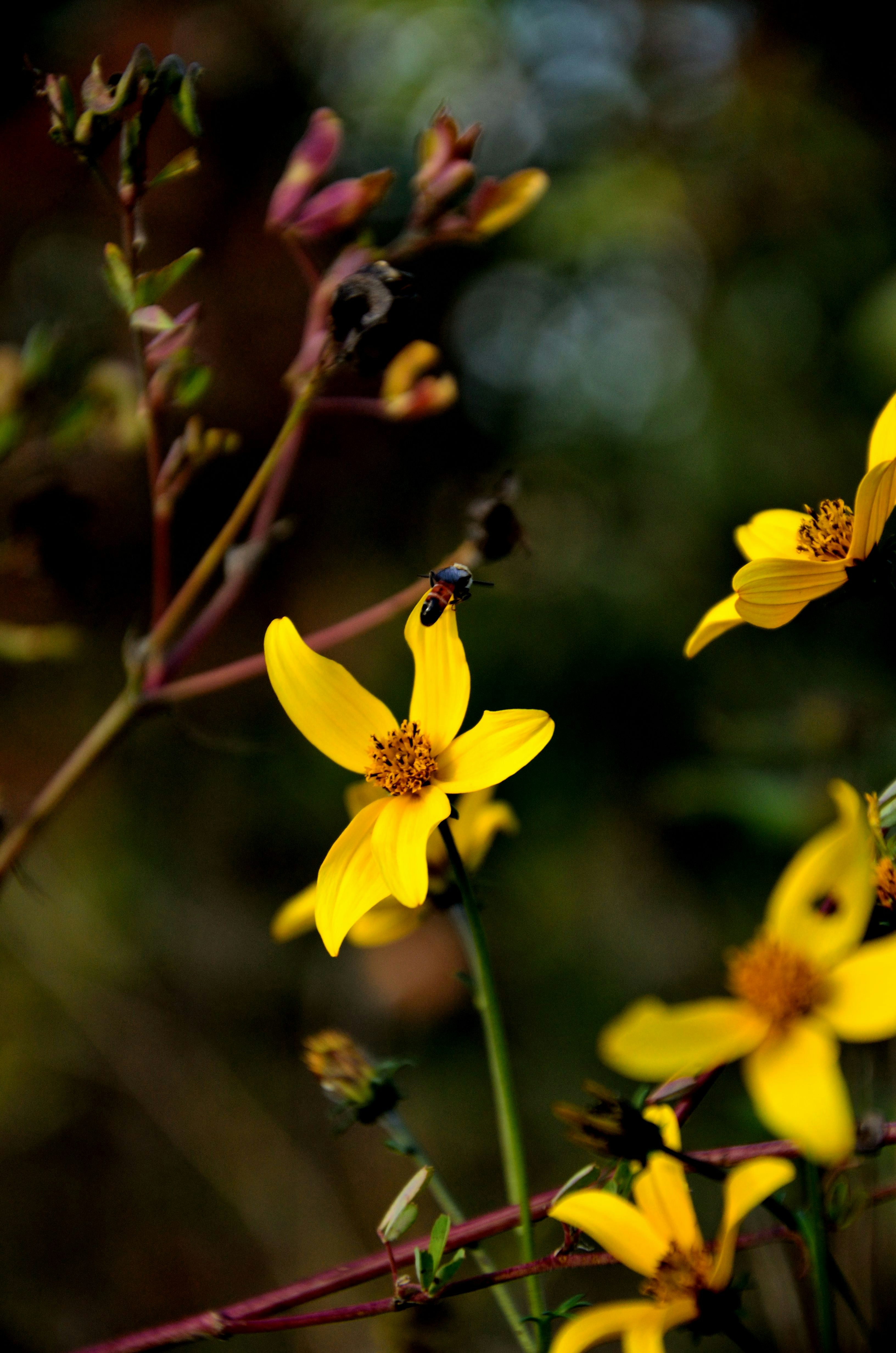 Free Unsplash photo from Piotr Łaskawski