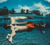 underwater photography of floating man wearing red shorts