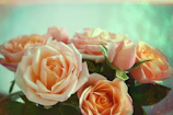 Close-up of a pastel pink bouquet with delicate roses and eucalyptus leaves