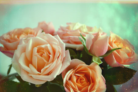 Close-up of a handcrafted eternal rose bouquet with satin ribbons in pastel tones.