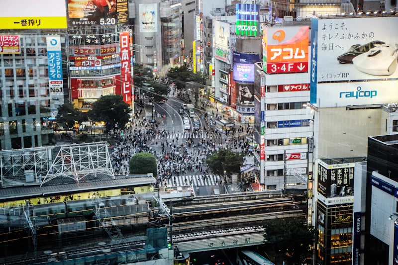 Best Time to Visit Japan: Month-by-Month Weather & Events