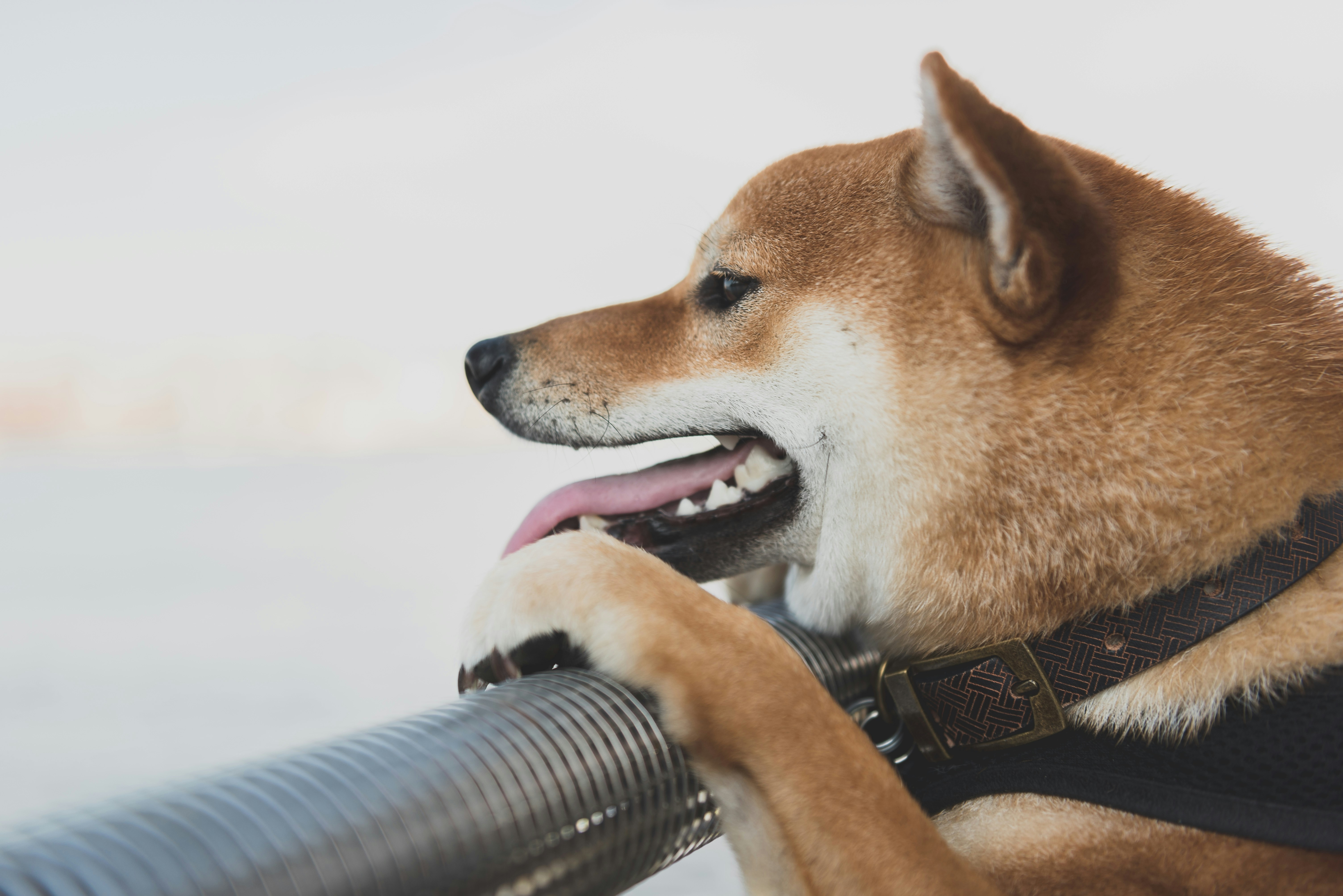 Free Unsplash photo from Ricky  Kharawala