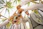 low angle of men holding beer bottles and having a toast