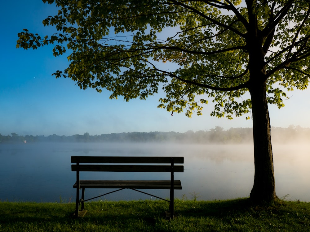 black park bench under trees