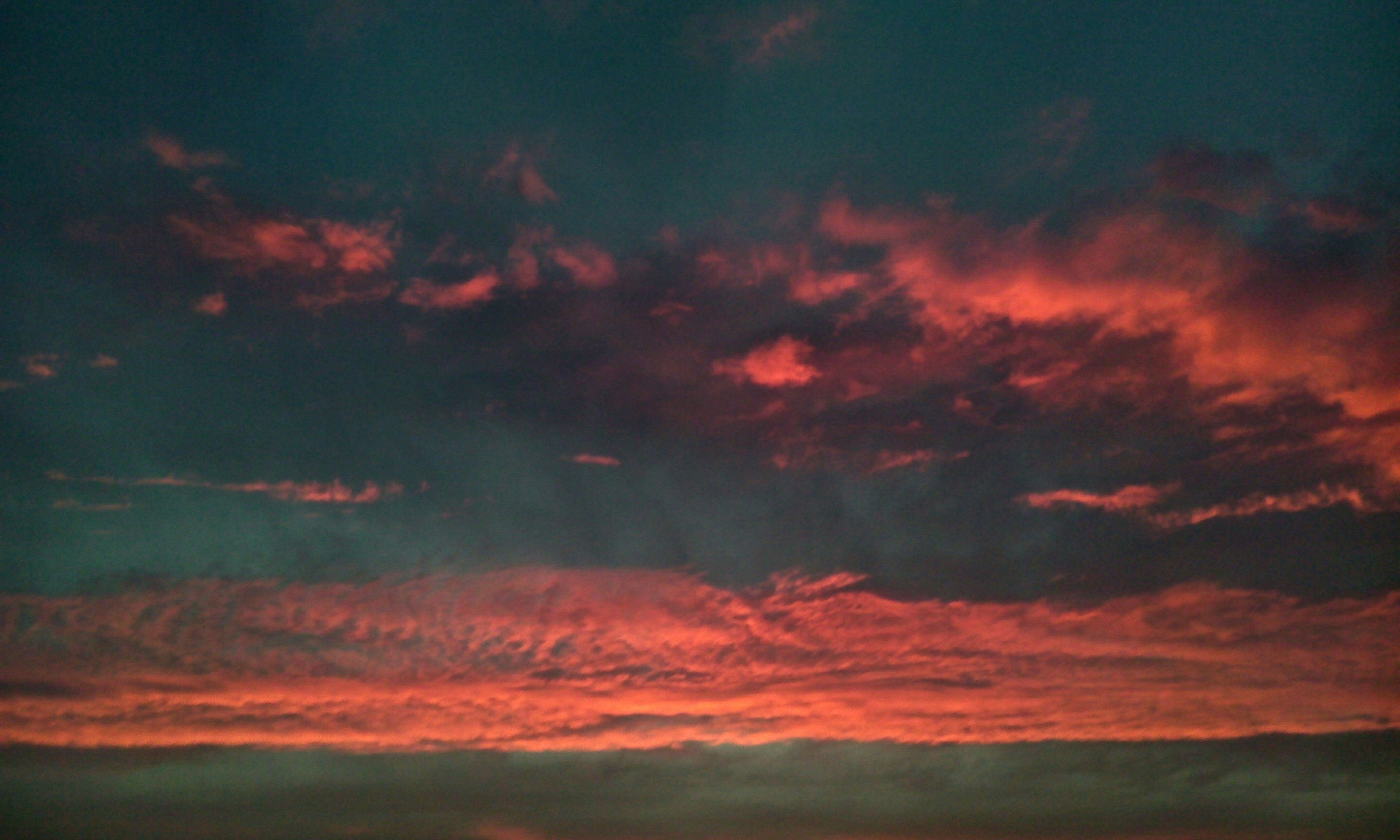 Free Unsplash photo from Dion Potkamp