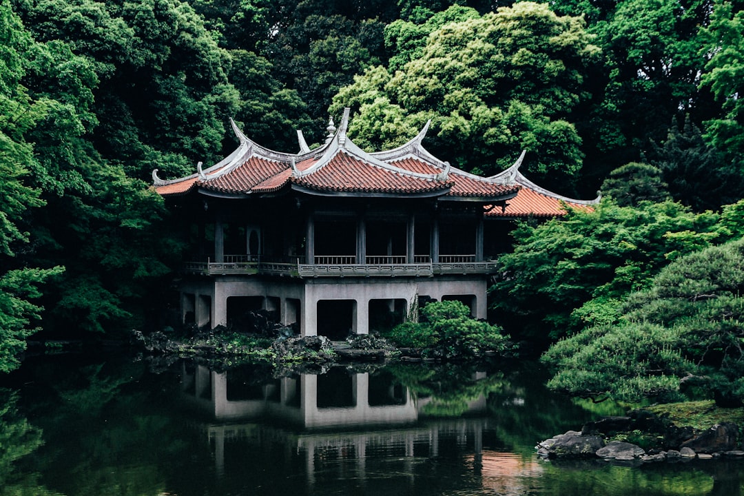 Pagoda photo spot Shinjuku Gyoen National Garden Taito City