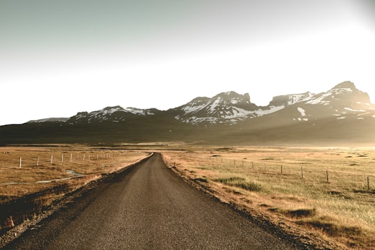 dirt road between steppe in Bakkagerði Iceland