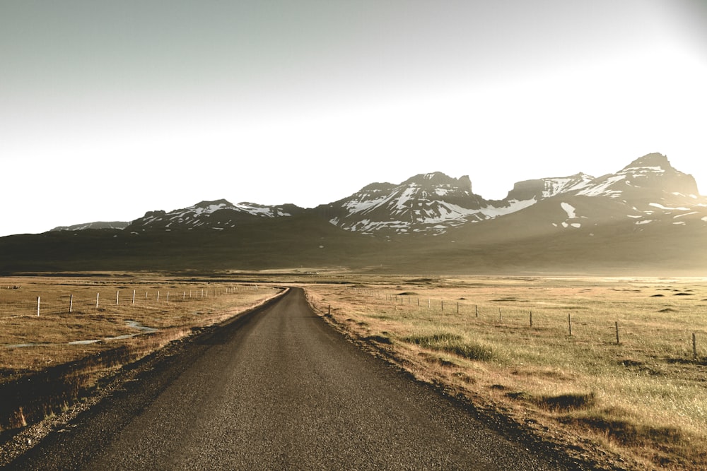 dirt road between steppe