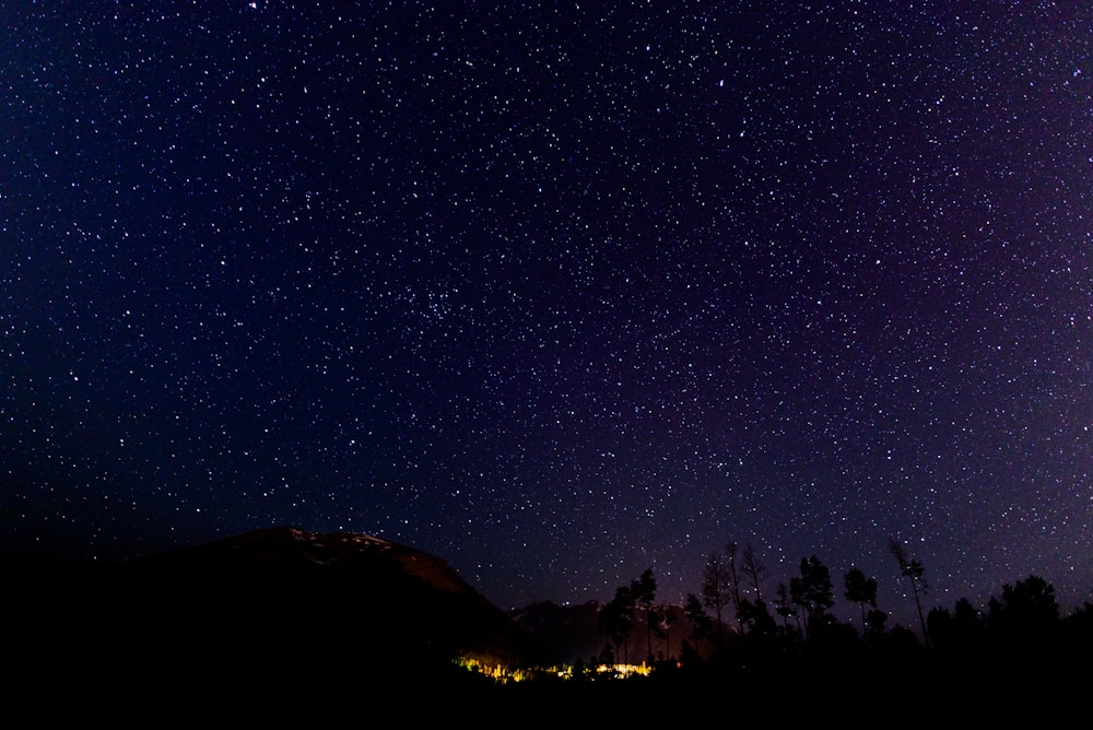 the night sky is filled with stars and trees