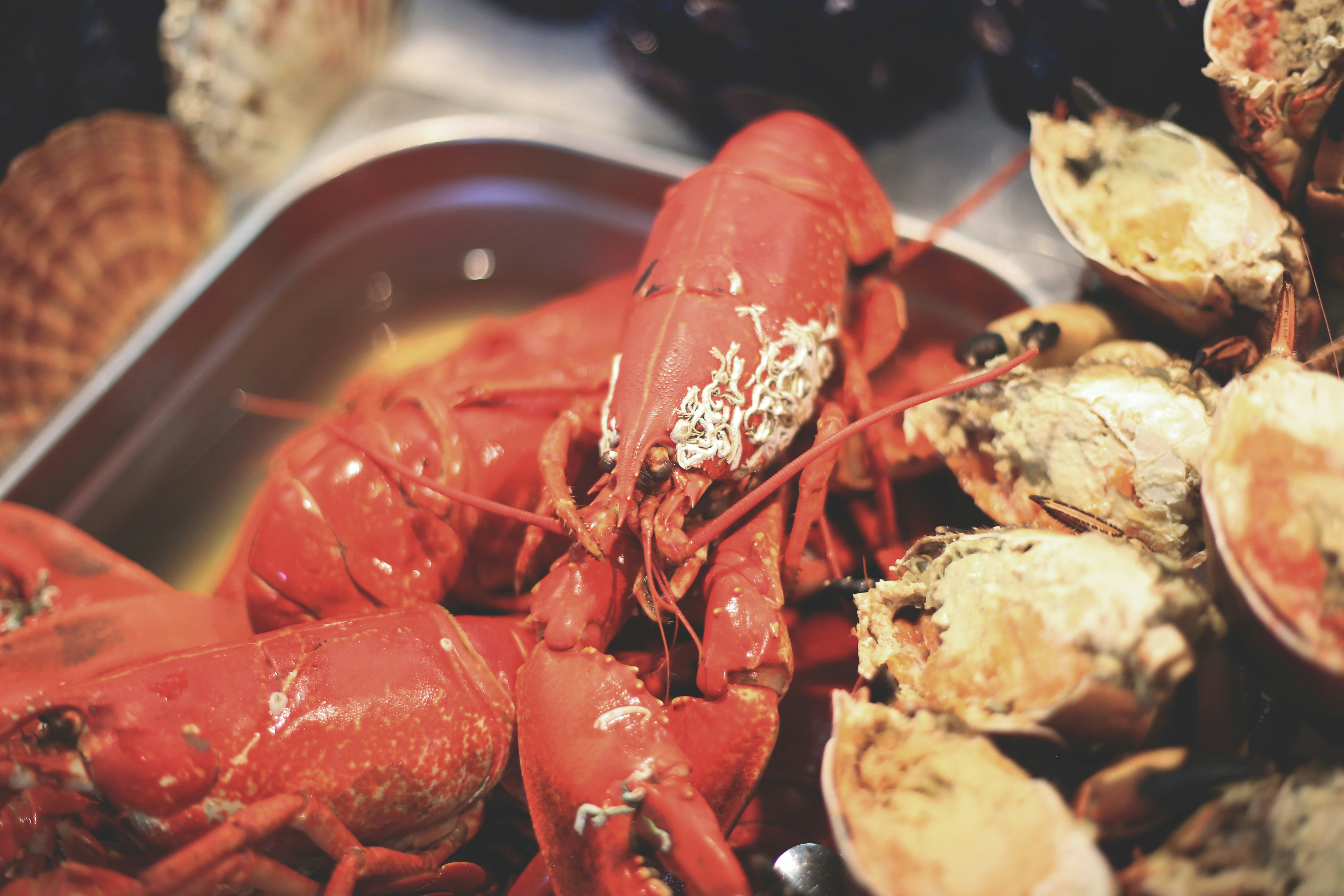 Free Unsplash photo from Katie Cronin